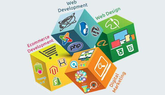 Tech Forest - Web Designing, Digital Marketing Training Institute