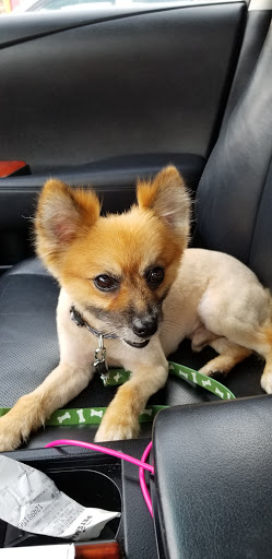 Pet Supply Store «PetSmart», reviews and photos, 1559 Merritt Blvd, Dundalk, MD 21222, USA