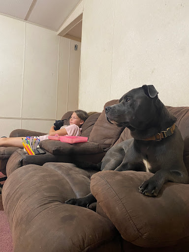 Home Improvement Store «The Home Depot», reviews and photos, 5000 Hampstead Blvd, Clinton, MS 39056, USA