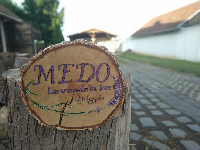 Értékelések erről a helyről: Medo levendulakert, Újkígyós - Szórakozóhely