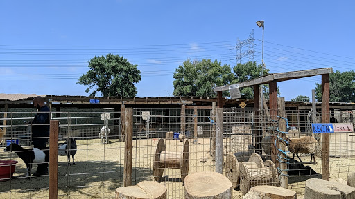 Pony Time at Lakewood Equestrian Center image
