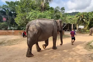 Kaibae Meechai Elephant Camp image