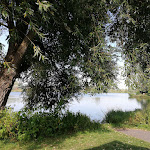Photo n°4 de l'avis de Petra.o fait le 22/09/2021 à 16:59 sur le  Am Silbersee - Ristorante * Pizzeria * Eiscafé à Rettenbach