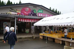 Shiwa Furusato Center image