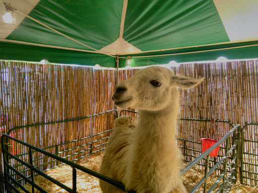 Live Music Venue «Oak Mountain Amphitheatre», reviews and photos, 1000 Amphitheater Rd, Pelham, AL 35124, USA