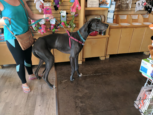 Pet Supply Store «Bow Wow & Meow», reviews and photos, 11607 Maumelle Blvd, North Little Rock, AR 72113, USA