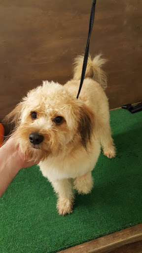 Pet Supply Store «Wags & Whiskers - West Nashville», reviews and photos, 3731 Charlotte Ave, Nashville, TN 37209, USA