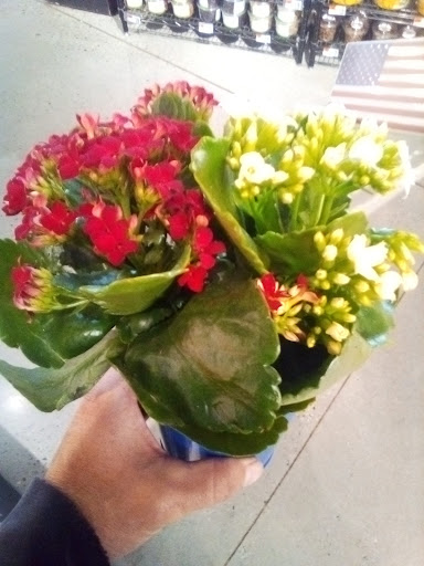 Supermarket «Stop & Shop», reviews and photos, 331 West St, Litchfield, CT 06759, USA