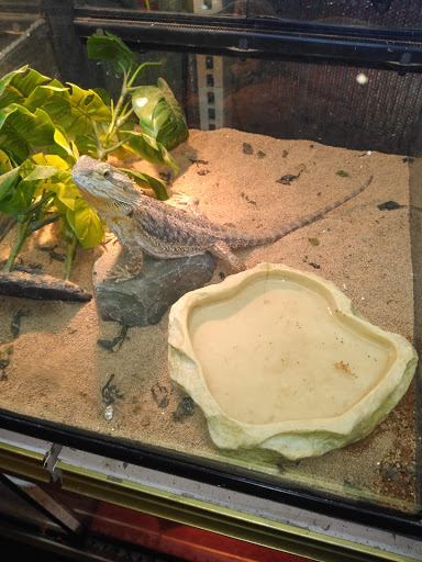 Pet Store «A to Z Pets», reviews and photos, 16010 SE Division St, Portland, OR 97236, USA