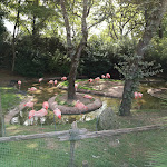 Photo n° 2 de l'avis de Julien.H fait le 16/07/2022 à 19:23 pour Zoo de La Flèche à La Flèche