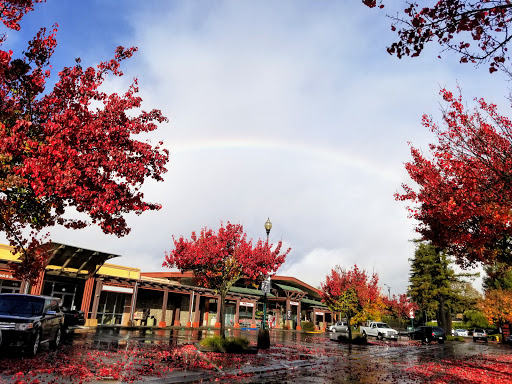 Drug Store «CVS», reviews and photos, 455 Center St, Healdsburg, CA 95448, USA