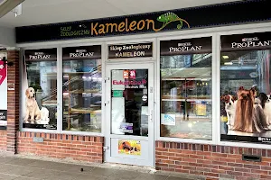 Kameleon image