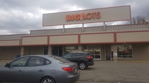 Big Lots, 201 Lancaster Pike, Circleville, OH 43113, USA, 