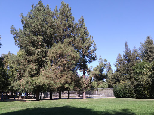 Park «Slide Hill Park», reviews and photos, 2850 Temple Dr, Davis, CA 95618, USA