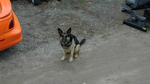 Used Auto Parts Store «Camaro Heaven / Drew Auto Parts», reviews and photos, 112 Clark Rd, Tilton, NH 03276, USA