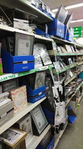 Dollar Store «Dollar Tree», reviews and photos, 15004 115th Dr, Jamaica, NY 11434, USA