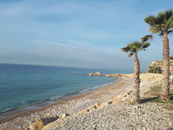 Platja dels Estudiantes'in fotoğrafı geniş ile birlikte