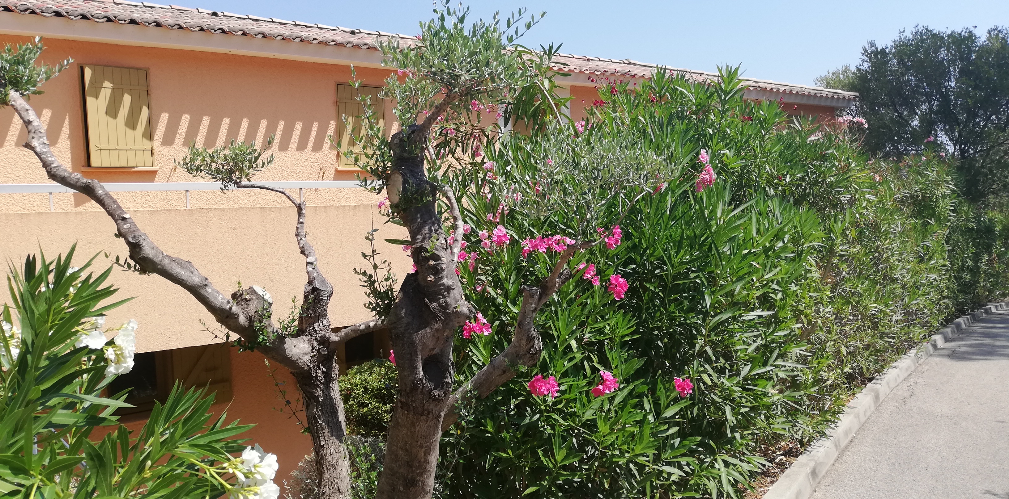 Photo n° 11 de l'avis de manu624000. fait le 05/08/2019 à 12:10