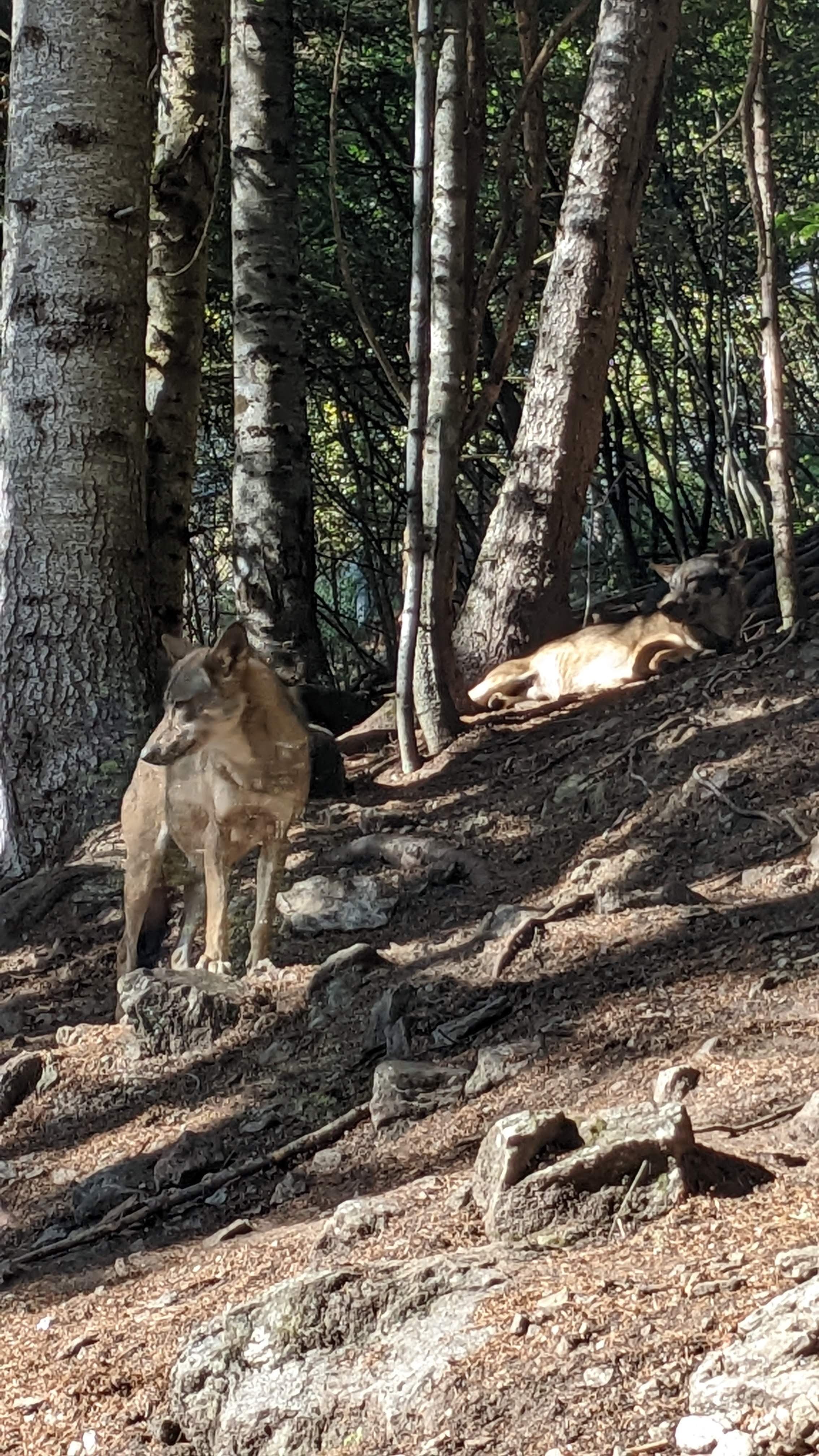 Photo n° 9 de l'avis de Florian.o fait le 11/09/2022 à 15:52