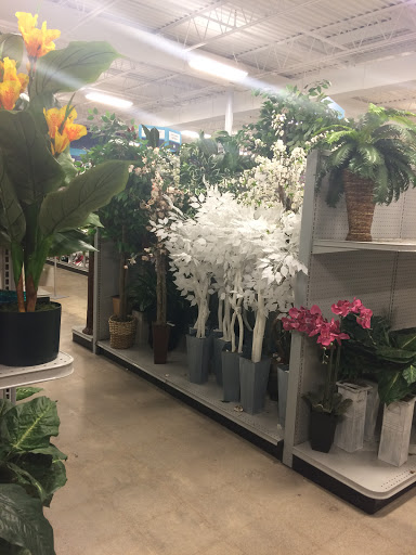 Home Goods Store «At Home», reviews and photos, 3710 Annex Ave, Nashville, TN 37209, USA