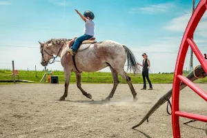 Reaching Strides Equestrian Centre image