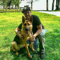 NY Metro Off Leash K9 Training - Photo 3 - Car repair in , Manhattan