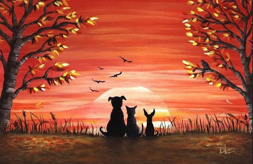 Carolina Sunset Pets