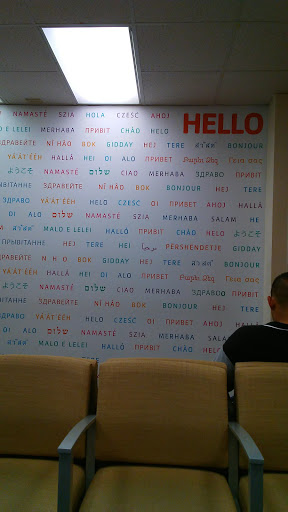 Non-Profit Organization «YMCA International Services المنظمه», reviews and photos