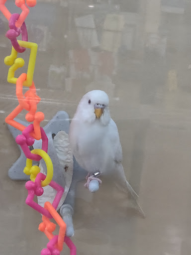 Pet Supply Store «Petco Animal Supplies», reviews and photos, 340 Leonardwood Dr, Frankfort, KY 40601, USA