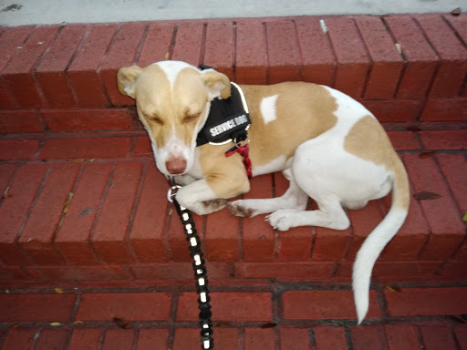 Museum «Ybor City State Museum», reviews and photos, 1818 E 9th Ave, Tampa, FL 33605, USA