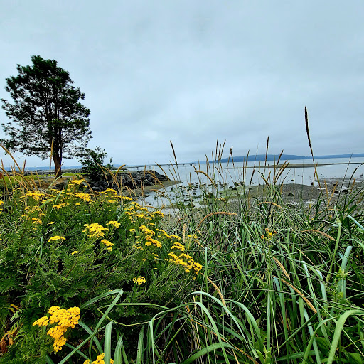 Conference Center «Des Moines Beach Park Auditorium», reviews and photos, 22030 Cliff Ave S, Des Moines, WA 98198, USA