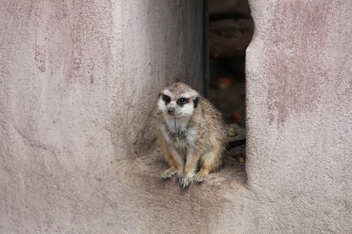 Herford Zoo unter Herford, 