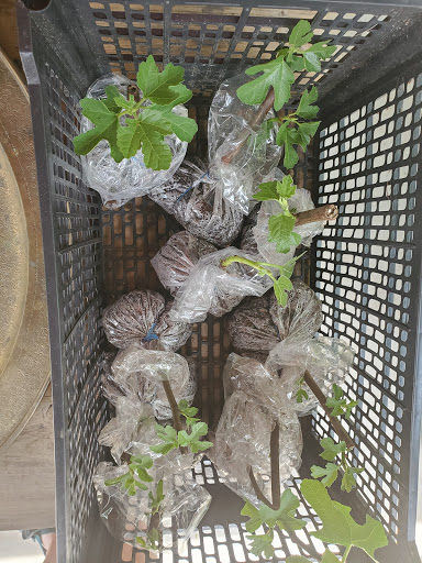 Winery «Overmountain Vineyards», reviews and photos, 2014 Sandy Plains Rd, Tryon, NC 28782, USA