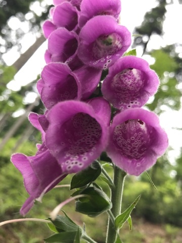 Photo n° 1 de l'avis de Audrey.e fait le 15/07/2017 à 14:23