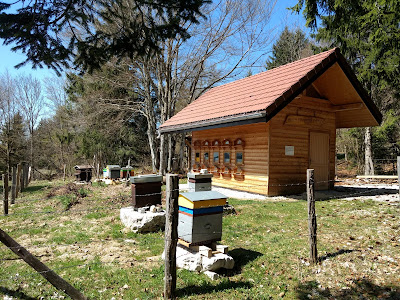 Rucher du Bayard à Foncine-le-Haut