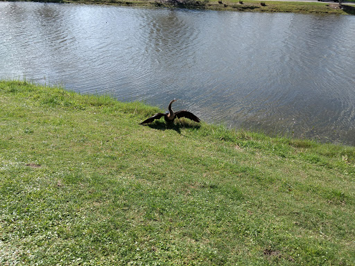 Country Club «Ridgewood Lakes Golf & Country Club», reviews and photos, 200 Eagle Ridge Dr, Davenport, FL 33837, USA