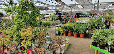 Jardinerie Animalerie Du Val Deleyre à Mios
