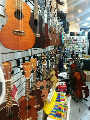 Opiniones de LM Instrumentos Musicales en Puente Alto - Tienda de instrumentos musicales
