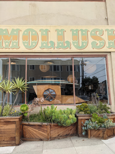 Surf Shop «Mollusk Surf Shop», reviews and photos, 4500 Irving St, San Francisco, CA 94122, USA