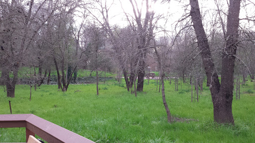 Park «Arcade Creek Park Preserve», reviews and photos, 6377 Bonham Cir, Citrus Heights, CA 95610, USA