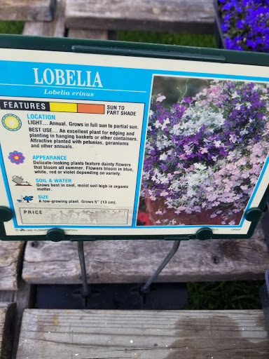 Florist «Lyndhurst Florist», reviews and photos, 5268 Mayfield Rd, Lyndhurst, OH 44124, USA