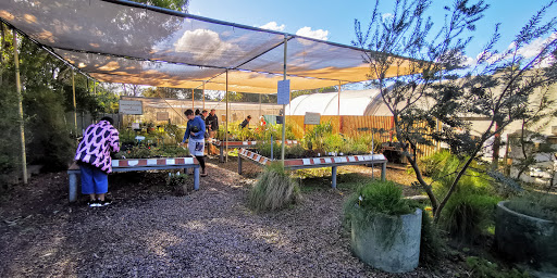 Victorian Indigenous Nurseries Co-Operative