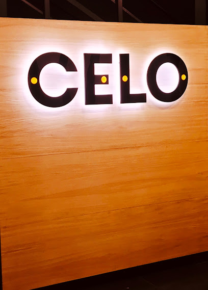 CELO S.A. portada