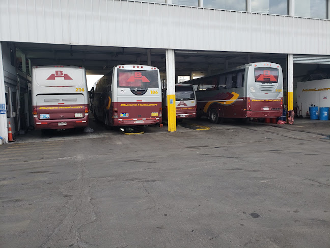 BUSES HUALPEN BASE SANTIAGO - Servicio de transporte