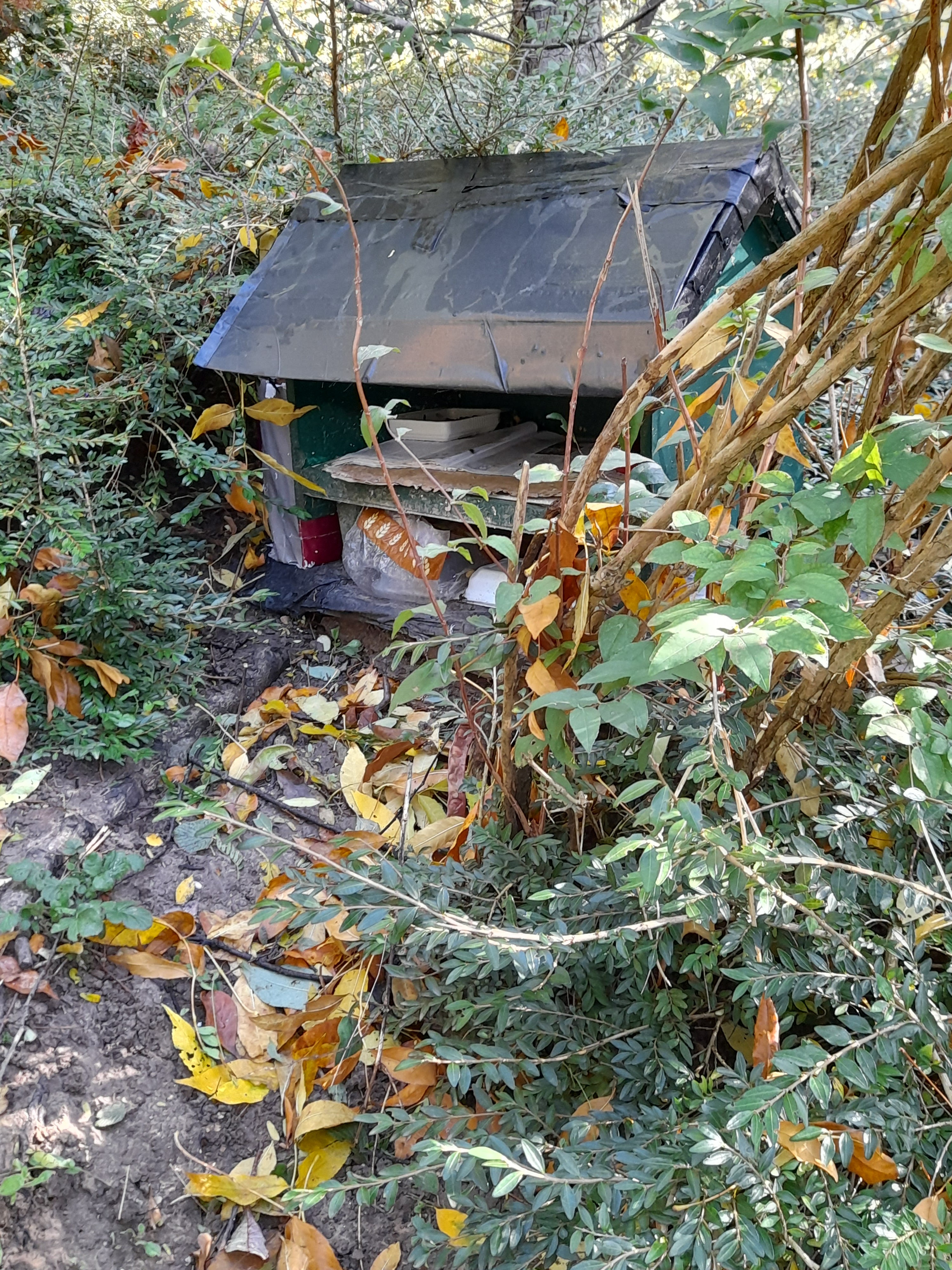 Photo n° 1 de l'avis de Anna.o fait le 24/10/2021 à 12:26