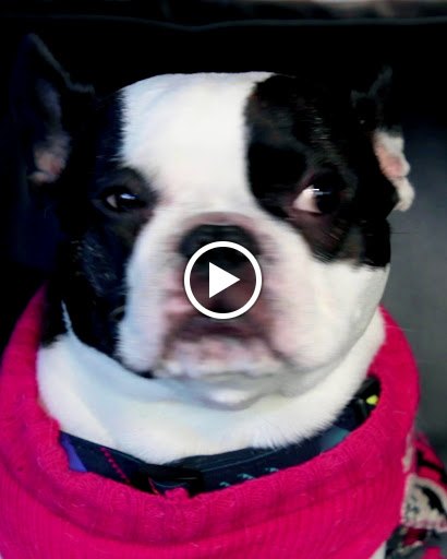 Beauty Salon «Olive Beauty Lounge», reviews and photos, 701 NW 70th St, Seattle, WA 98117, USA