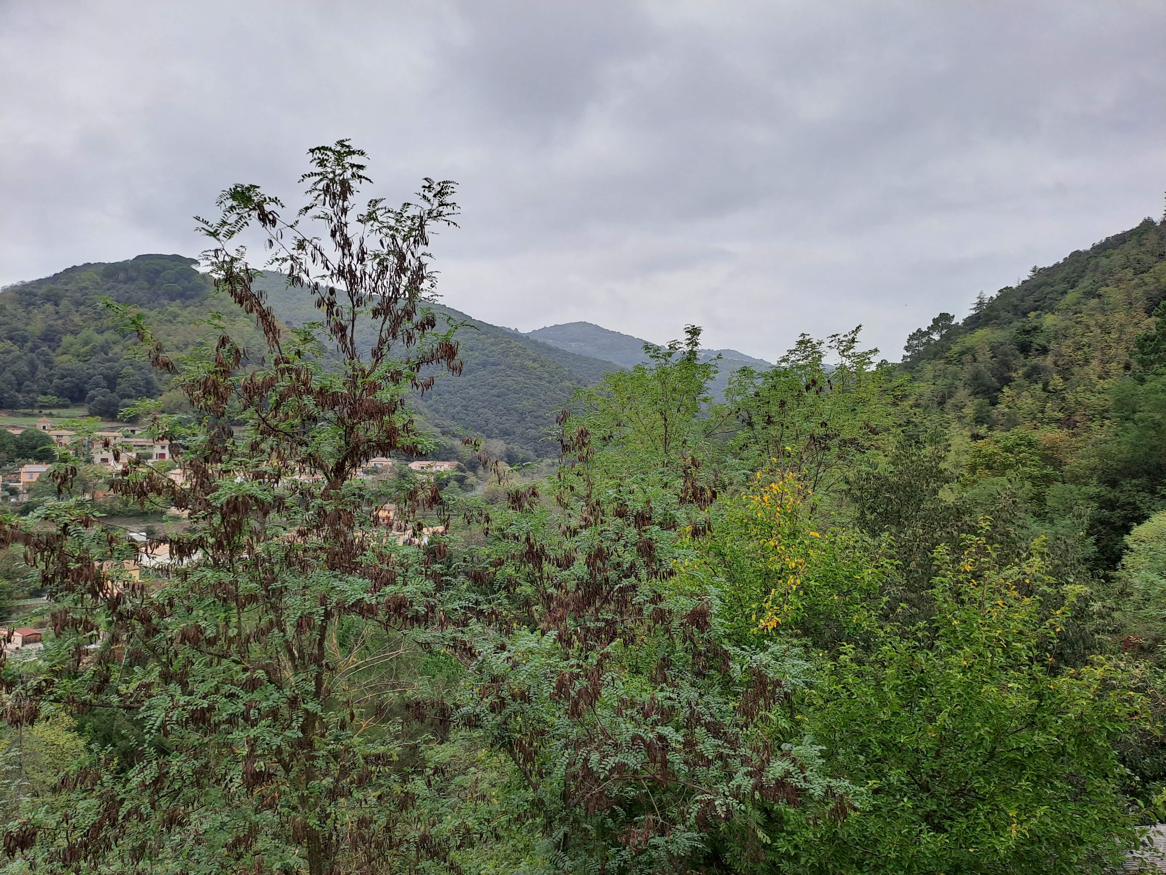 Photo n° 17 de l'avis de Tanguy.a fait le 30/10/2022 à 23:40