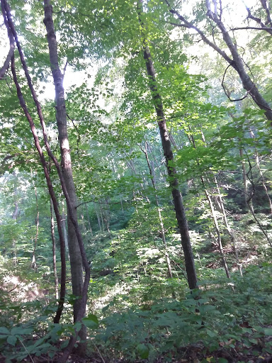 Nature Preserve «Engelmann Woods Natural Area», reviews and photos, 2360 Hwy D, Boles Township, MO 63304, USA