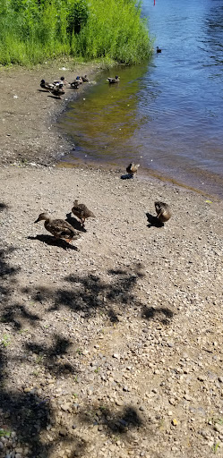 Park «Akin Riverside Park», reviews and photos, 1721 River Ave, Anoka, MN 55303, USA