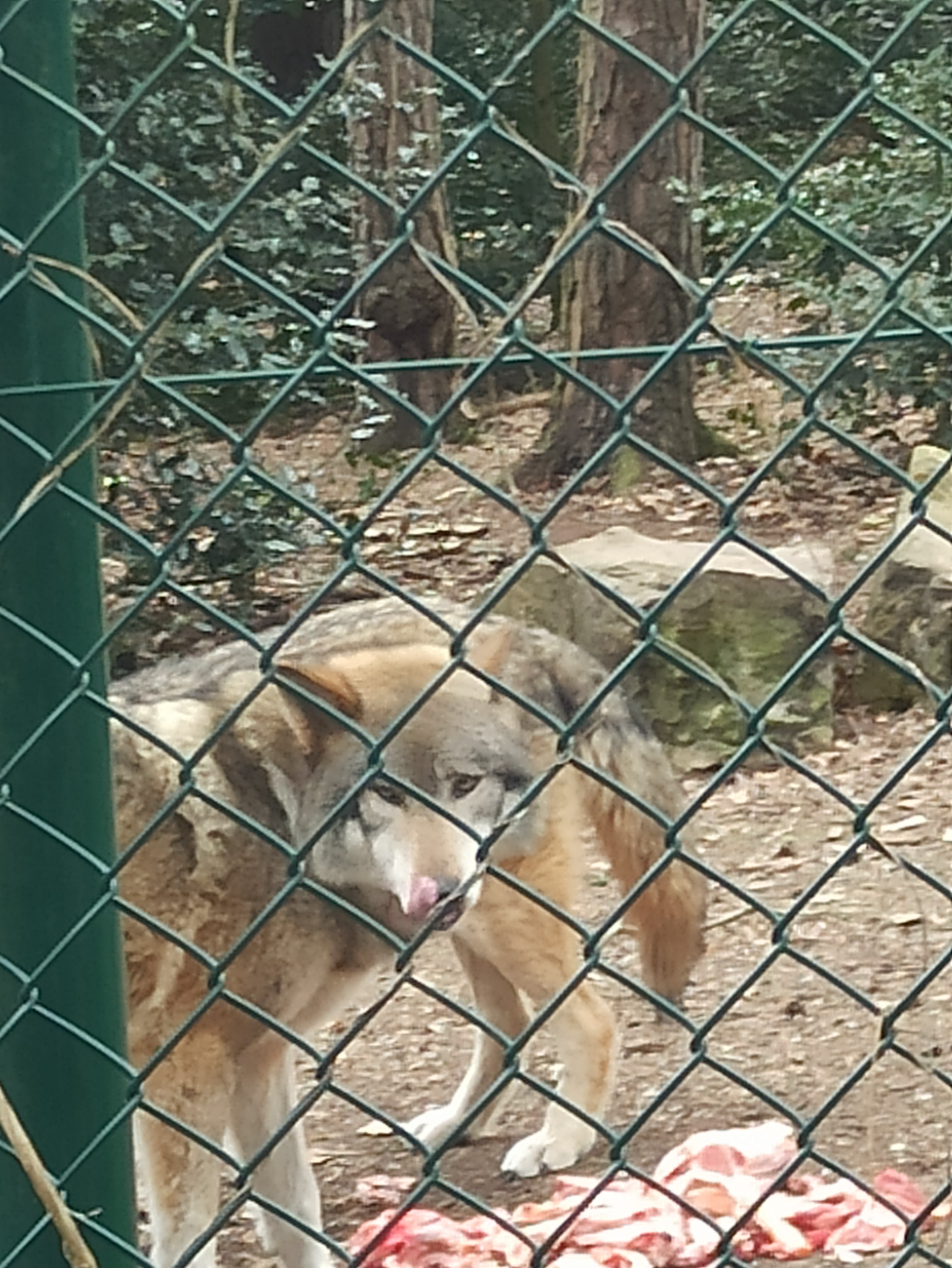 Photo n° 3 de l'avis de Angelique.a fait le 21/04/2023 à 16:55